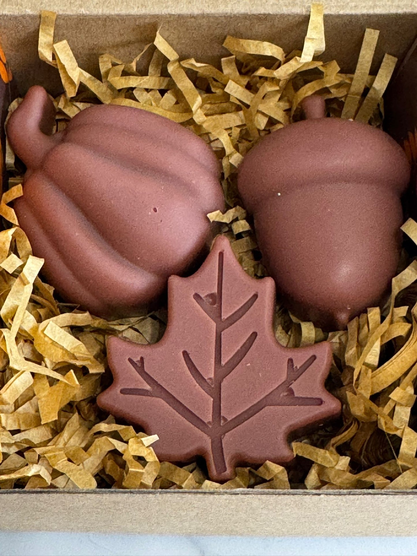 Autumn Wax Melt Shape Trio