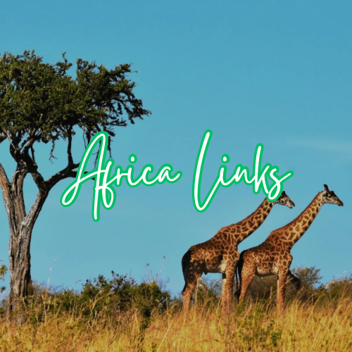 Africa Links Wax Melt Snap Bar