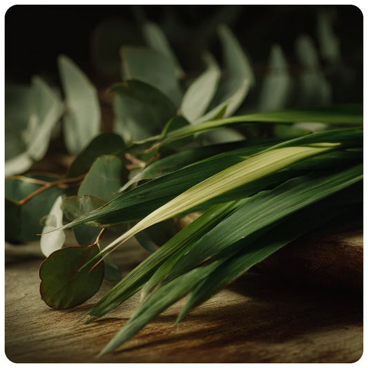 Citronella & Eucalyptus | Wax Melt Snap Bar