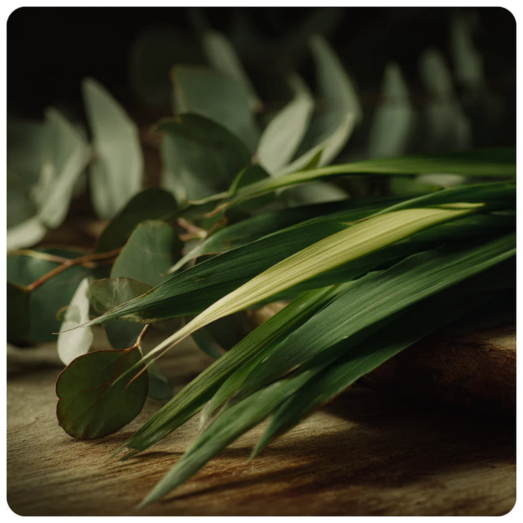 Citronella & Eucalyptus Wax Melt Snap Bar