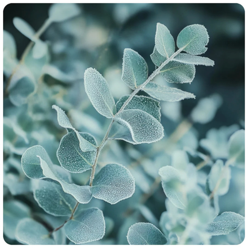 Eucalyptus Mist Wax Melt Snap Bar